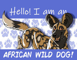 HSGSGSGSGGSGSGSGSGSGSGS HSGSGSGSGGSGSGSGSGSGSGS